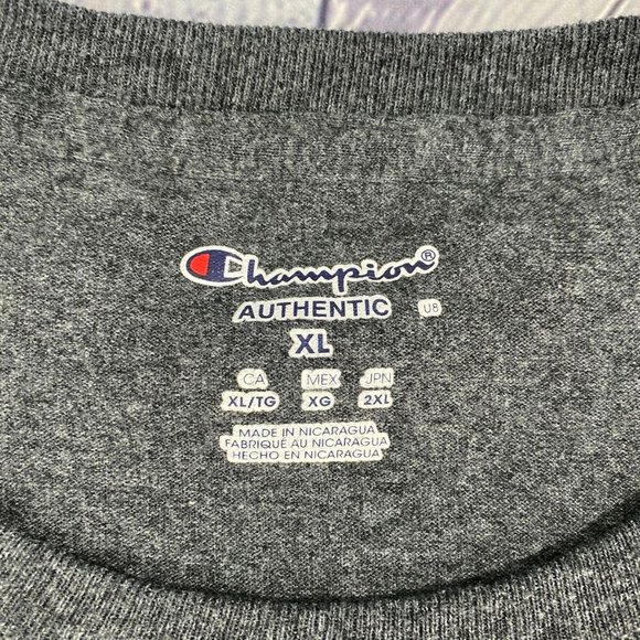 Champion Men's Relaxed Fit Jersey Tshirt Gray Tee - Picture 8 of 8